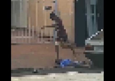 agressao-tangara.jpg