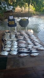 pesca predatoria sinop