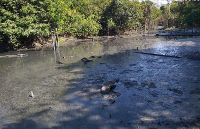 rio-poluido.jpg