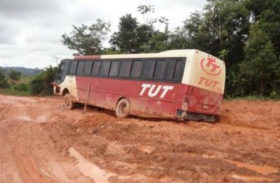 Tut transportes