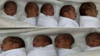 nove bebes.jpg