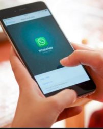 zap, whatsApp