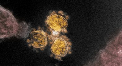 coronavirus-delta.jpg