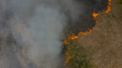 incendio pantanal mt