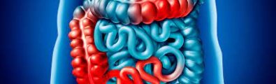 intestino.jpg