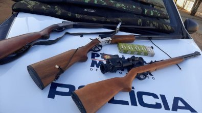 Armas primavera.jpg
