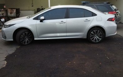 corolla