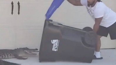 morador jacare.jpg