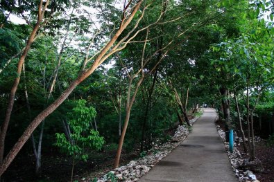 parque-massairo-okamura.jpg