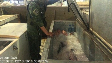 PEIXE-FEIRA.jpg