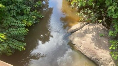 altafloresta.jpg