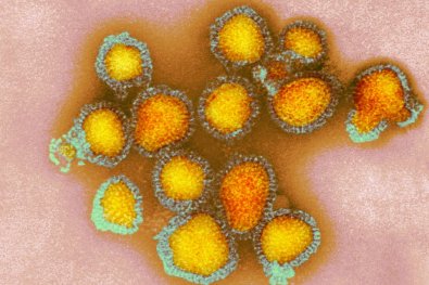 influenza-imagem.jpg