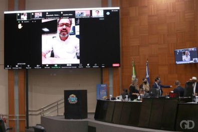 plenario (1).jpg