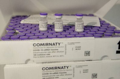 pfizer-omicron.jpg