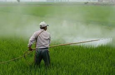 agrotoxicos.jpg
