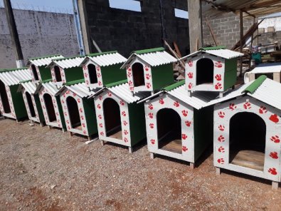 casa-cachorro.jpg