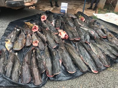 pescado irregular