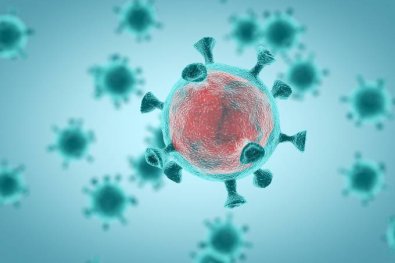 coronavirus.jpg