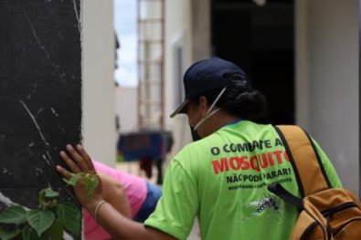 dengue.jpg