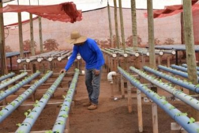 Trabalho Reeducandos em Cï¿½ceres2.jpg