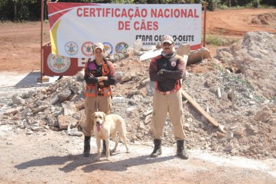 treinamento caes bombeiros