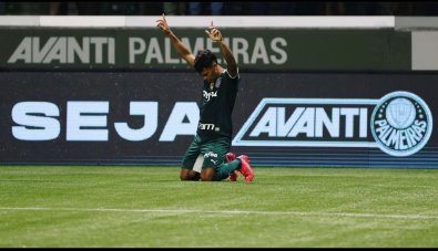palmeiras-gabrielveron.jpg