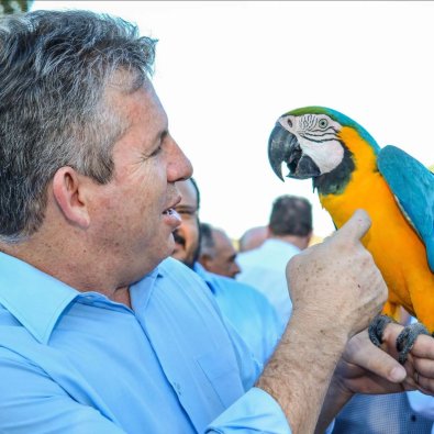 arara-mauromendes.jpg