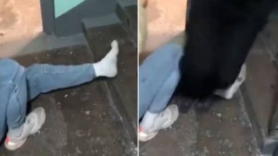 RUSSO PERNA.JPG