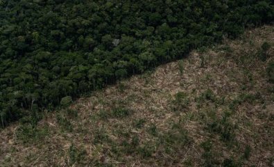AMAZONIA.JPG