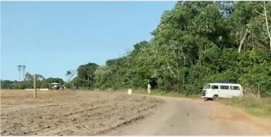 invasao Fazenda Sinop