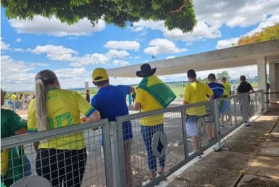 gado cercadinho