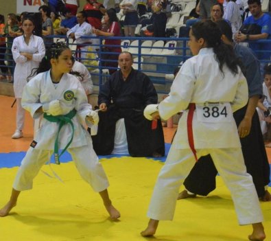 Irmas karate