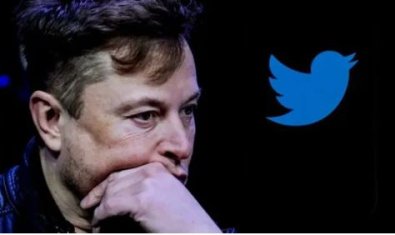 ELON MUSK.JPG