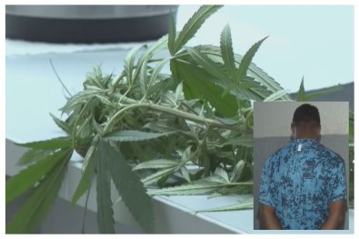 homem ï¿½ preso por confundir maconha com melao de Sao caetano