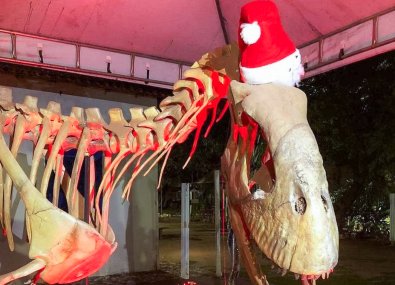 Dino-Natal.jpg