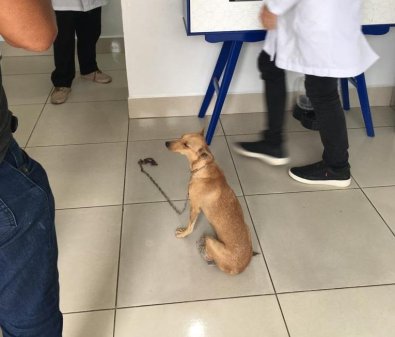 dema op sansï¿½o 1.jpg