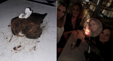 CABELO-RESTAURANTE.jpeg