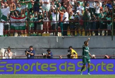palmeiras copinhs.jpg