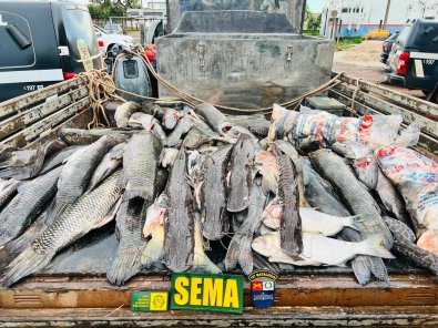pesca predatoria, pescado