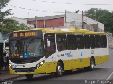 Pantanal Transportes