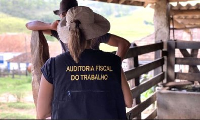 Auditora Fiscal do Trabalho