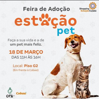 feira adocao pet