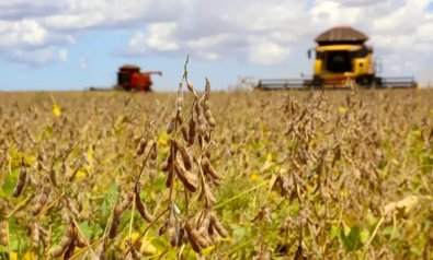 agropecuaria, agro, milho.jpg