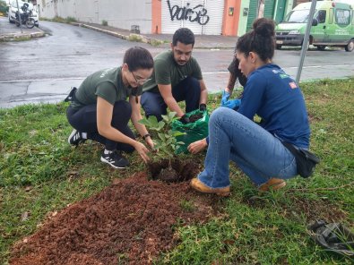 20 - Verde Novo e Nova AcrÃ³pole (9).jpeg
