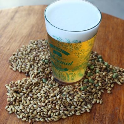 CERVEJA-ARTESANAL.jpg