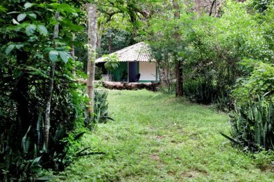 horto florestal