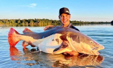Peixe gigante, xingu, pirarara