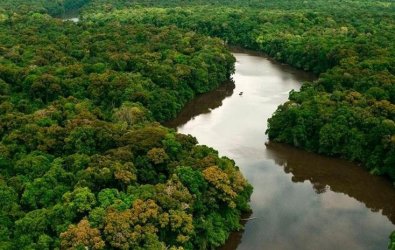 floresta amazonica
