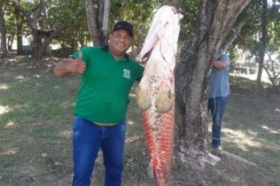 PIRARUCA.jpg