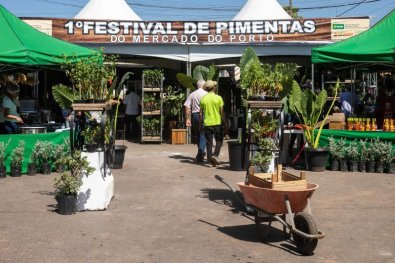 festival de pimenta.jpg